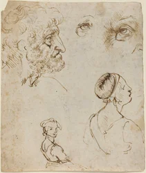 Sheet of Studies (recto)
